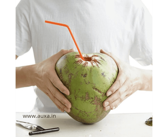 Coconut Hole Maker