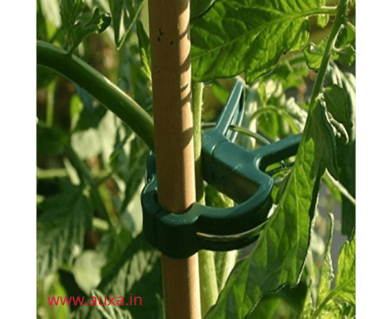 Garden Plant Support Clips