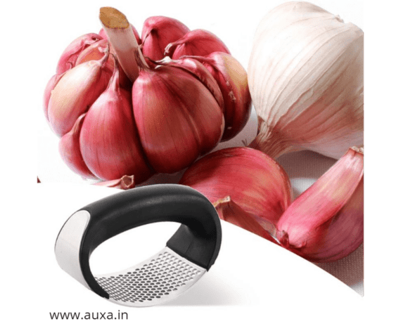 Steel Garlic Press Crusher