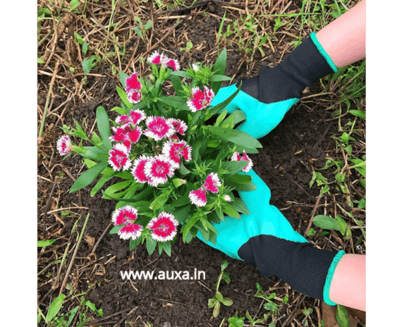 Gardening Gloves with Claws