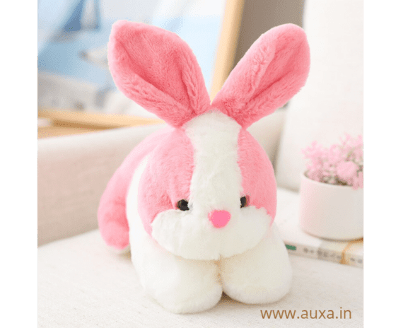 Plush Rabbit Soft Toy