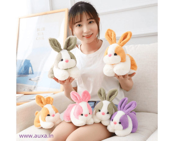 Plush Rabbit Soft Toy