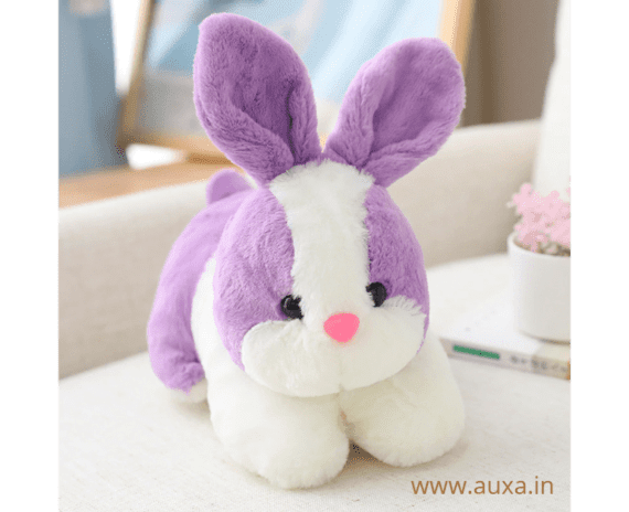 Plush Rabbit Soft Toy