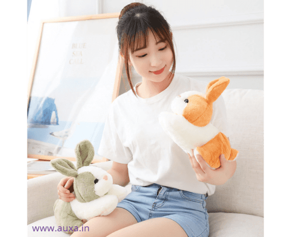 Plush Rabbit Soft Toy