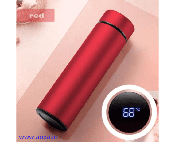 Temperature Display Water Bottle