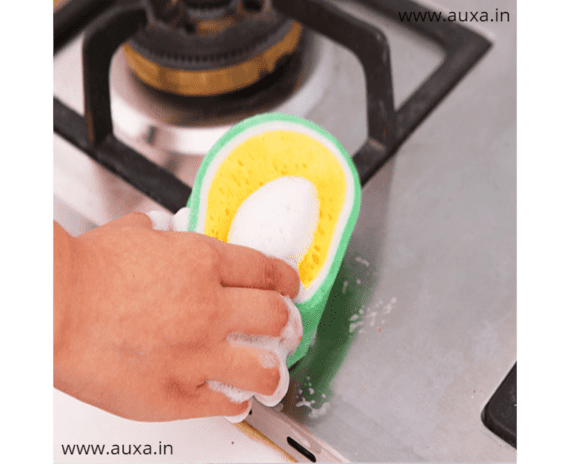 Fruit Dish Washing Sponge