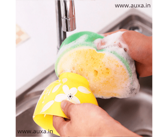 Fruit Dish Washing Sponge