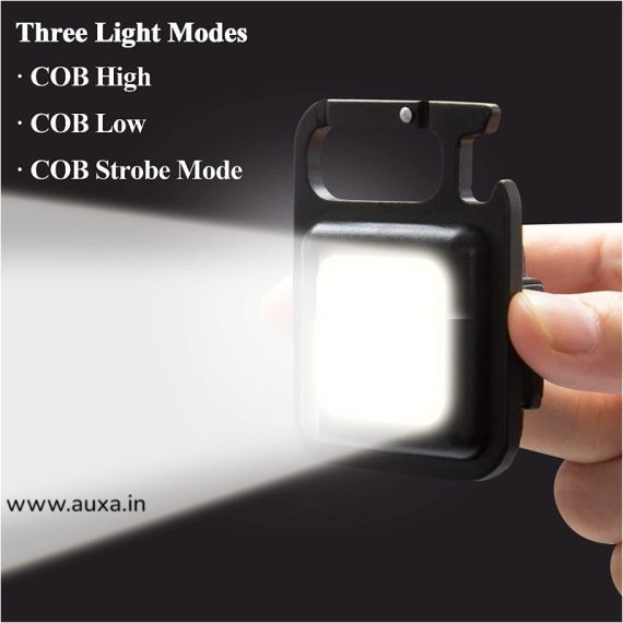 Focus travel tracking cob light