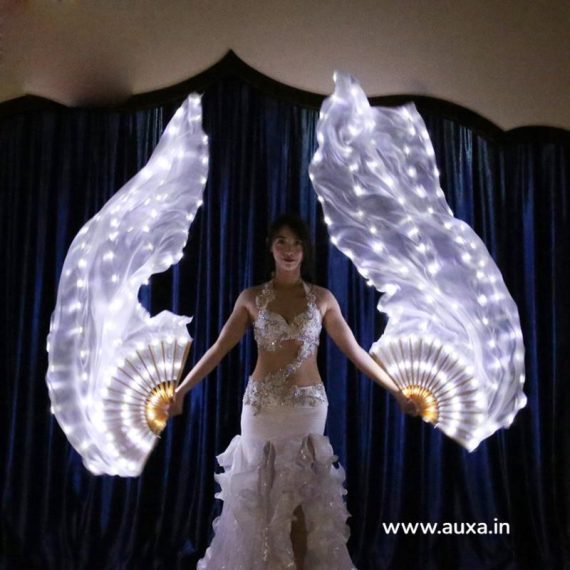 Veils Belly Dance LED Fan