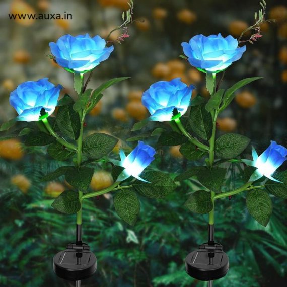 Solar Lights for Outdoor Garden