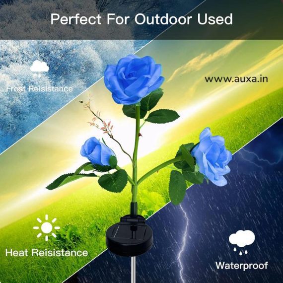 Solar Lights for Outdoor Garden