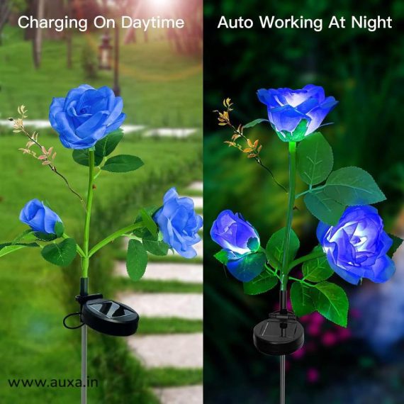 Solar Lights for Outdoor Garden