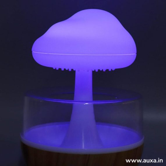 Rain Drop Night Light Humidifier