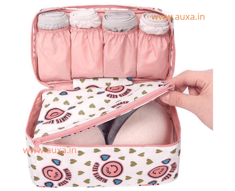 Amazon.com: Travel Underwear Organizer Bag Multifunctional Travel Bra  Underwear Storage Bag Portable Socks Lingerie Pouch,Pink : Beauty &  Personal Care