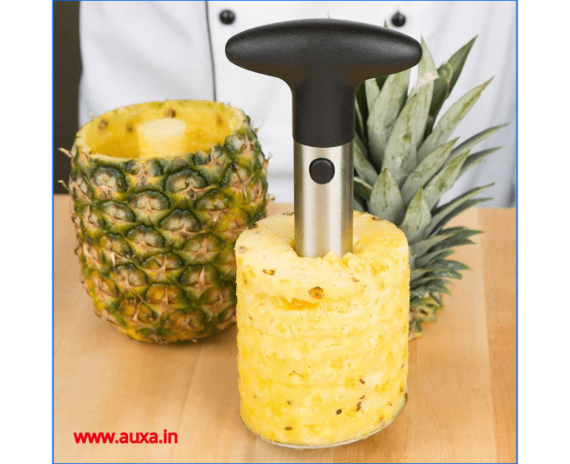 Pineapple Cutter Peeler Corer (1)