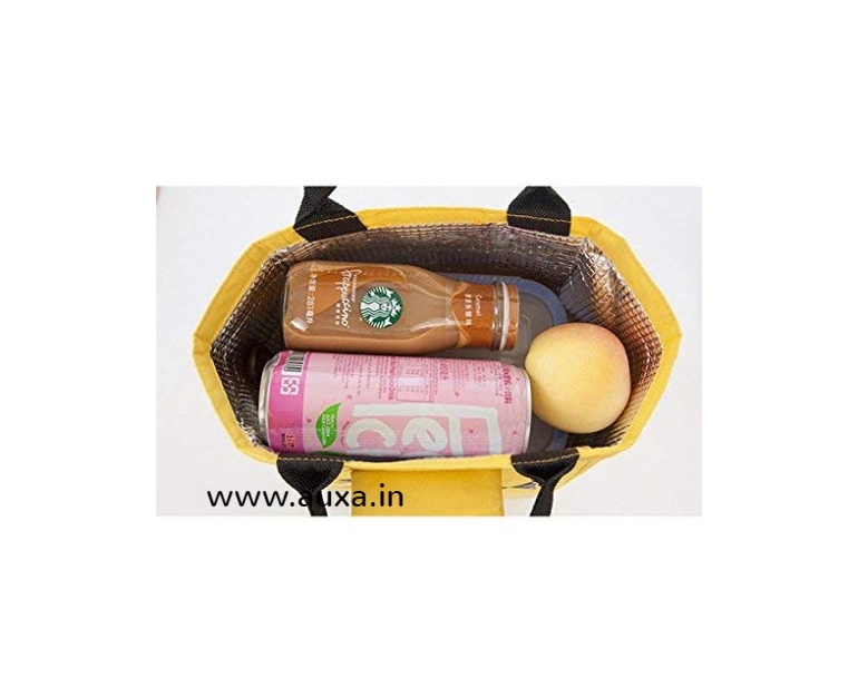 Lunch Bag Work Thermal Lunch Tote Bags 10l Large Dual Compartment Food Bag  For Picnic Camping School Lunch  Fruugo IN