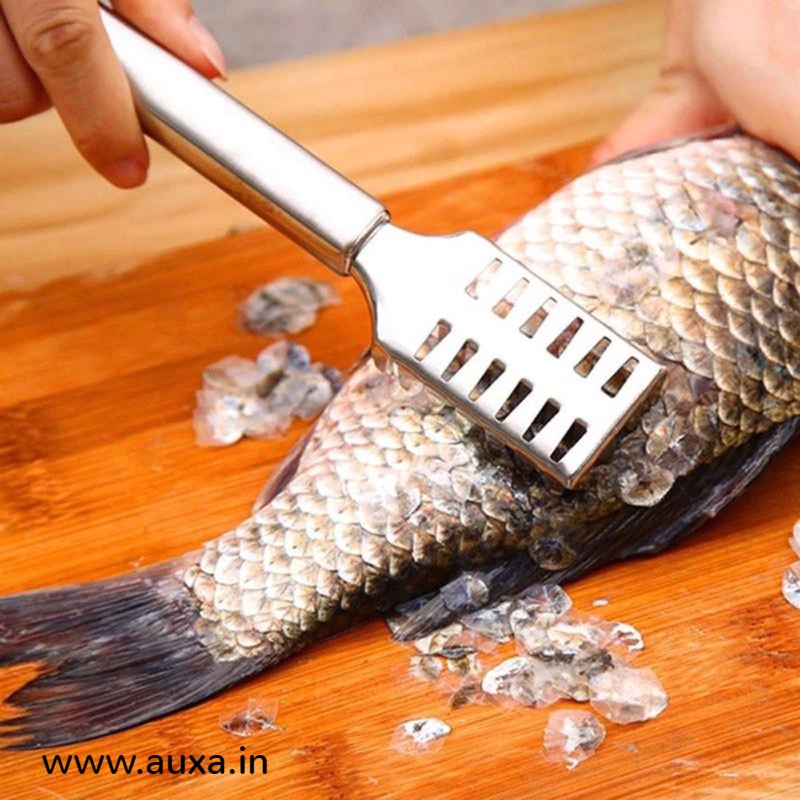 Buy Fish Scale Remover Stainless Steel Fish Scale Remover Scraper